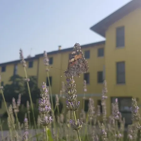 Ai Casali